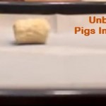 Homemade Pigs In A Blanket Recipe